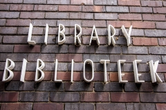 Brixton Library - Zivanai Matangi (3)